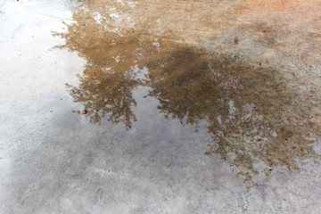 bokeh reflection of trees on the water