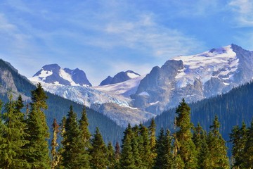 High mountains are covered with glacier, forest is growing in the foreground. Sun is shining, sky is blue, Canada. 