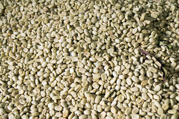light coffee grains on the table for background