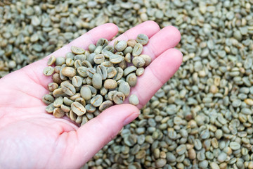 Fototapeta premium coffee grains in a man's hand