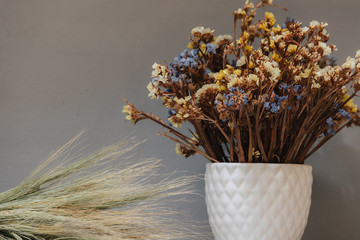 Dried wildflowers. Many tiny blue and yellow flowers in a white vase. Bouquet on a gray background.