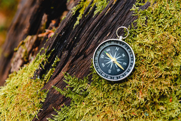 A compass on the trunk of a tree with green moss in the forest. Adventure and excursions concept.