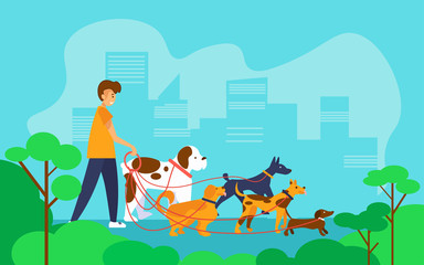 Dog walker man walking with a group of dogs of different breeds in the city. Vector illustration in flat style. 