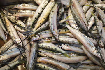 Fototapeta premium Fish Market, Closeup Fresh Fish 