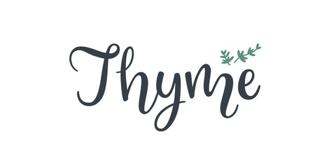 Thyme text hand drawn lettering isolated on white background.