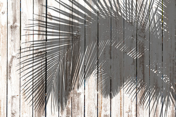 Ombre de palme sur palissade bois