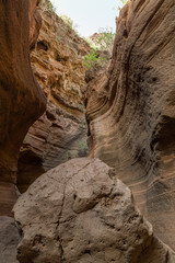 Scenic limestone canyon, Barranco de las Vacas in Agüimes, Gran Canaria, Canary islands Spain. Geology concept.