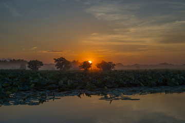 Sunrise over Corroboree wetlands © Deirdre