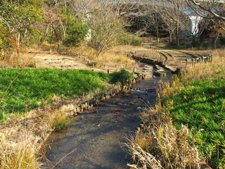 小川のある冬の公園風景