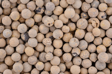White pepper and background