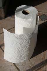 White single paper towel roll