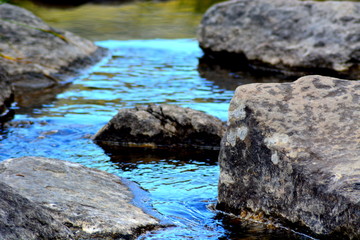 lac marais de montagne