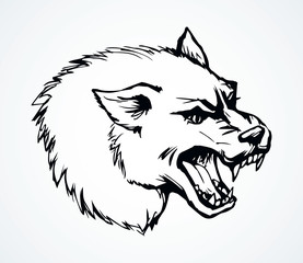 Open mouth. Grin. Vector drawing wolf