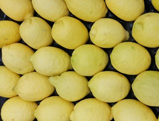 Lemon, Citrus Fruit a lot for abstract background.