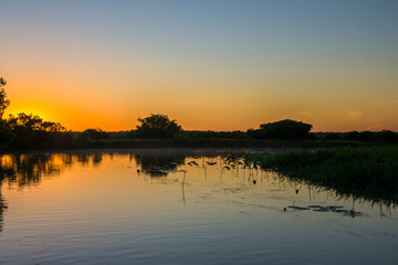 Fototapeta na wymiar Sunrise over Corroboree wetlands