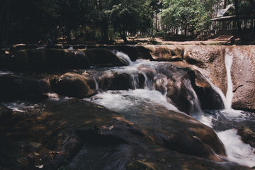 Beautiful and fertile nature