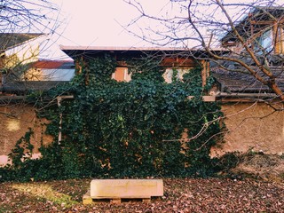 Street art in Ljubljana squat