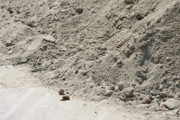 footprints in the sand