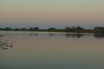 Obraz na płótnie Canvas Sunrise over Shady Camp wetlands