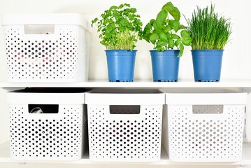 white storage boxes with herbs