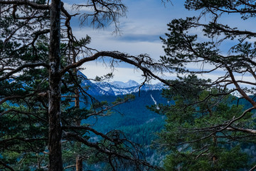Wanderung Herzogstand Bayern