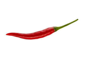 Red pepper on white background