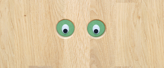panoramic view of eyes on wood texture background. oak tree Planks of wood as wooden texture. Abstract background from wooden boards. panorama Environment concept