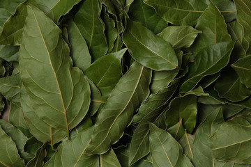 Naklejka na ściany i meble Dried Laurel leaves texture background. Top view. Cooking background.
