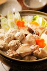 鶏鍋　Japanese chicken hot pot