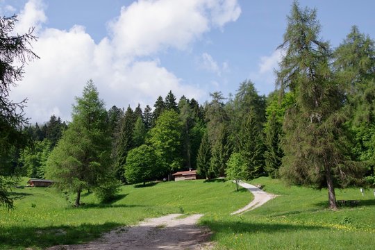 Wanderweg am Mendelpass S&uuml;dtirol