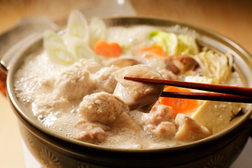 鶏鍋　Japanese chicken hot pot