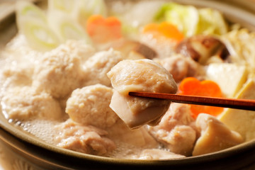 鶏鍋　Japanese chicken hot pot