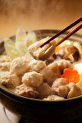 鶏鍋　Japanese chicken hot pot