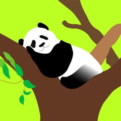panda © AnaLusa