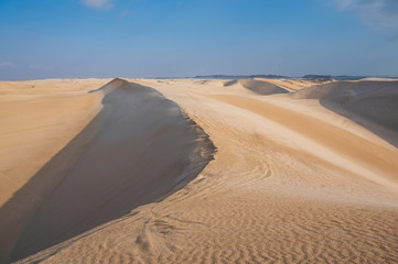 Fototapeta na wymiar Beautiful sand dunes in Oman