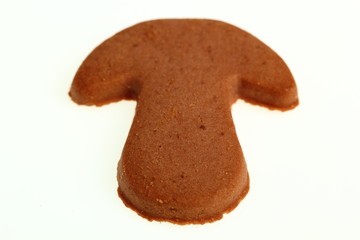 Cocoa Cookies
