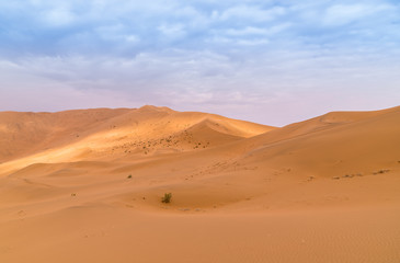 Fototapeta na wymiar Badain Jaran Desert, desert, Inner Mongolia, the third largest desert in China, with the tallest stationary dunes on Earth and100 spring-fed lakes between the dunes