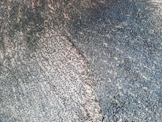 The surface of an old tree sliced transverse, natural background