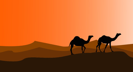 vector illustration, Caravan of camels walking through the desert 