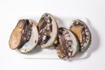 Raw abalones on the white background