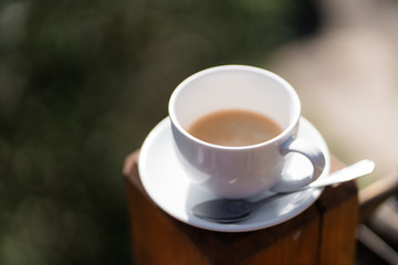 White cup of hot latte coffee isolated on nature background. Concept of food in fresh air. Overhead view, copy space. Advertising for cafe menu. Coffee shop menu. Horizontal photo.