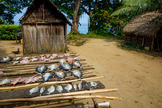 Drying fish at a remote fishing village squeezed between the rainforst and coral reef, Tampolo, Masoala National Park, Madagascar