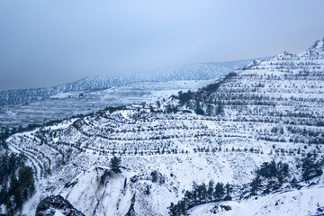Snow landscape in Troodos Cyprus