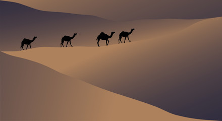 vector illustration, Caravan of camels walking through the desert 