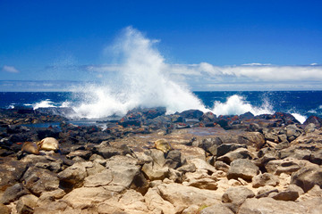 wave in galapagos