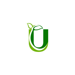 Combination of green leaf and initial letters U logo design vectors © Mifta Microstock