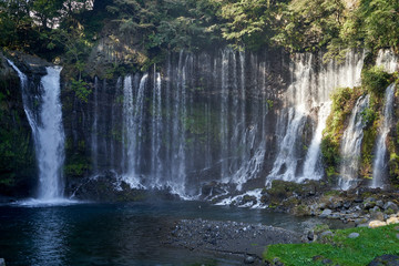 Obraz premium 白糸の滝