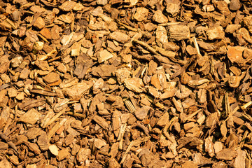 Picture of Wood chips as a texture or background