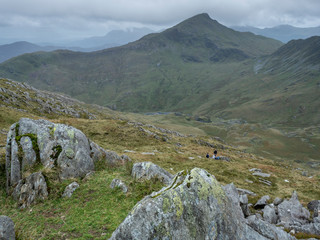 Rock party with lichen in the foreground on the Snowdonia mountain in Wales