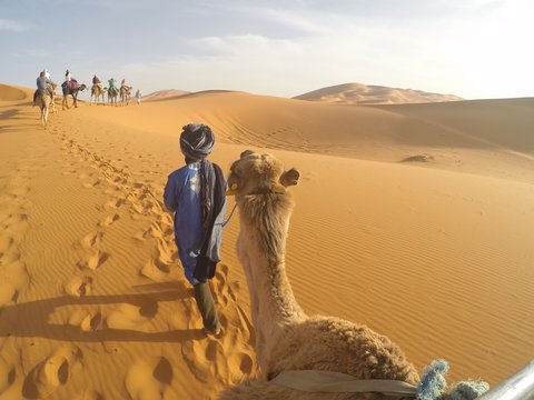 people riding camels IN DESERT AGAINST SKY